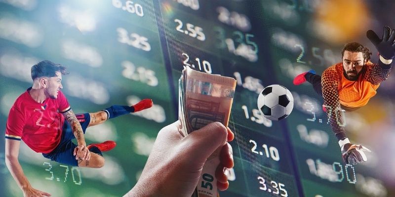 Các dạng cá cược thể thao phổ biến hiện nay