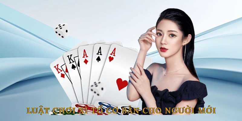 Luật Chơi Xì Tố Cơ Bản Cho Người Mới