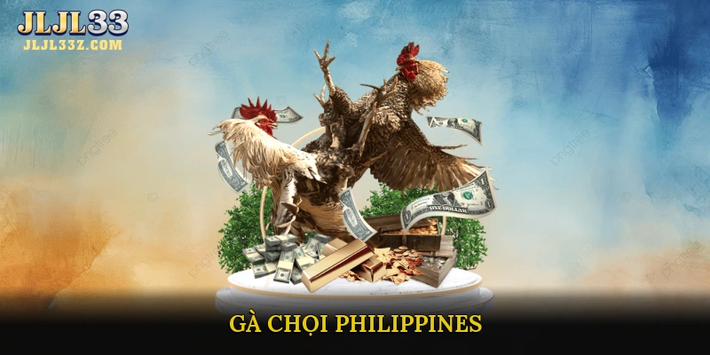 Gà Chọi Philippines