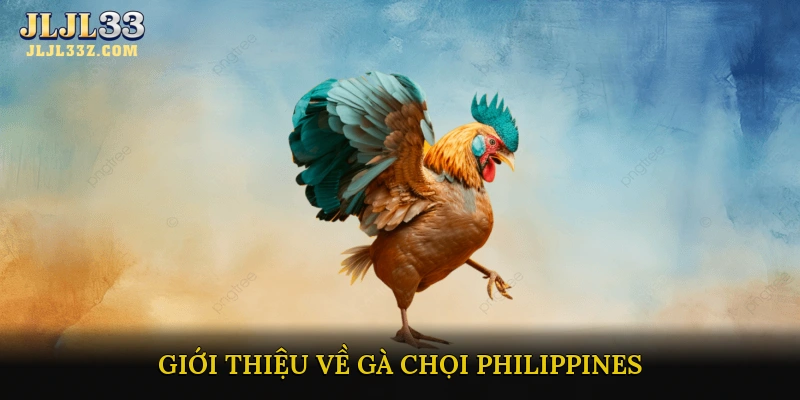 Giới thiệu về Gà Chọi Philippines