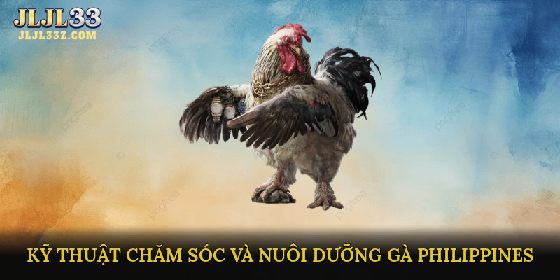 Kỹ thuật chăm sóc và nuôi dưỡng Gà Chọi Philippines